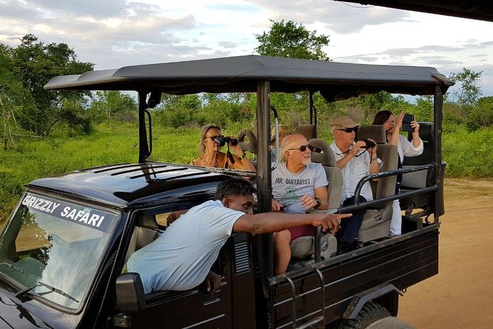 Yala half day safari  - Photo 1 of 9